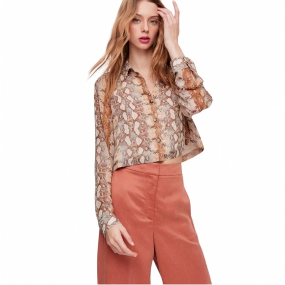 Aritzia snakeprint blouse - Picture 1 of 1